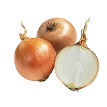 OIGNONS