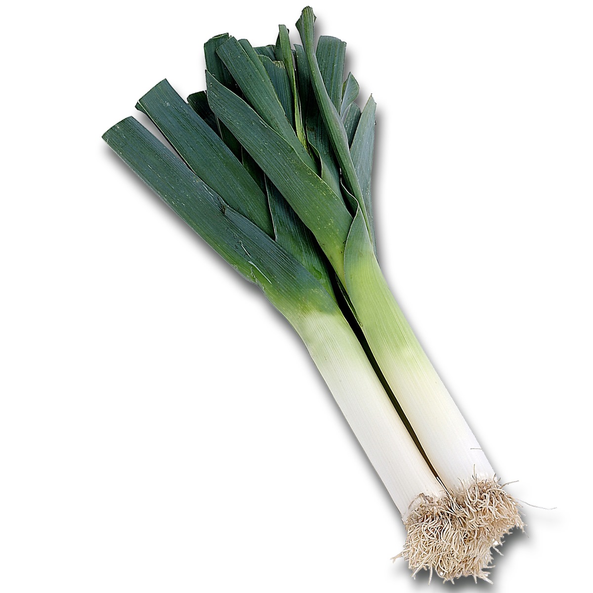 POIREAUX